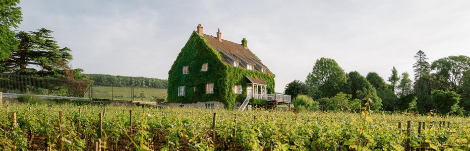 Airbnb